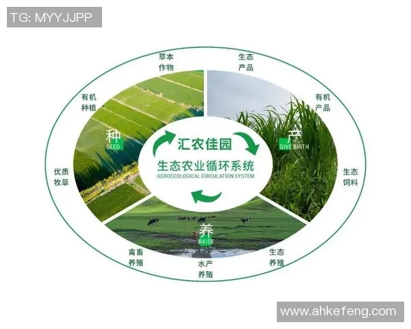 以果园为核心，打造生态农业示范区，促进绿色可持续发展与乡村振兴